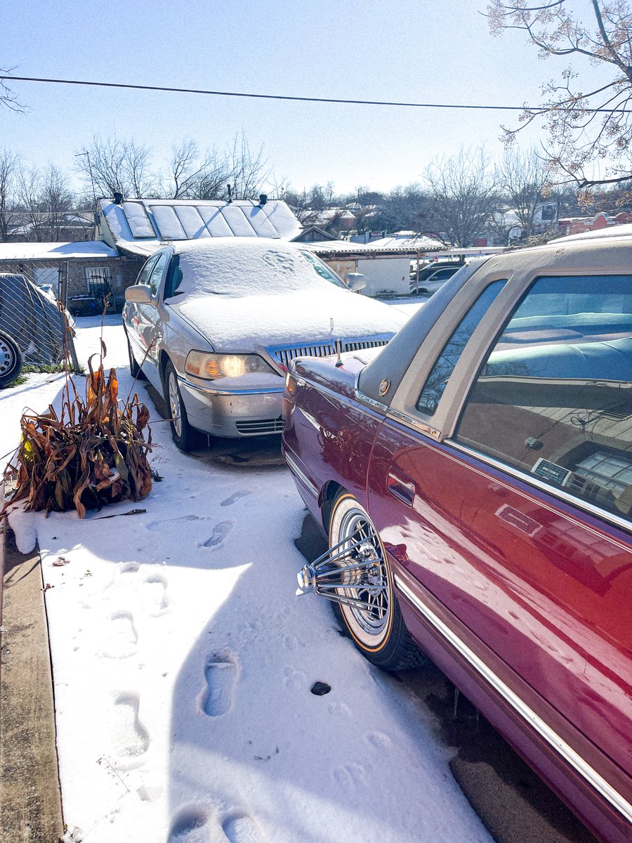 𝖑𝖚𝖎𝖘 tweet media