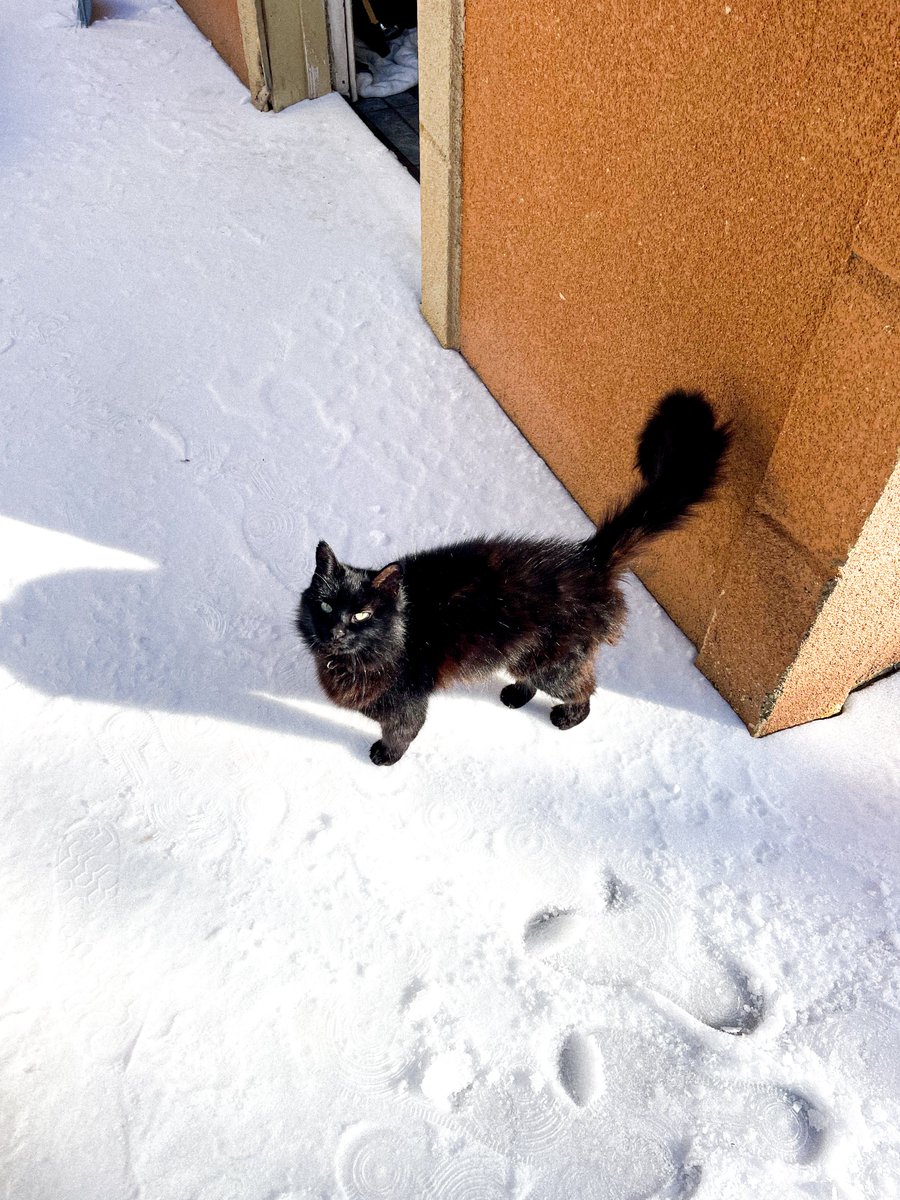 𝖑𝖚𝖎𝖘 tweet media