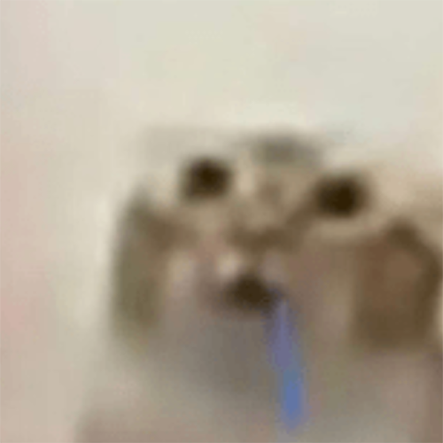 KaZoo💥 (@srkazoo) on Twitter photo 