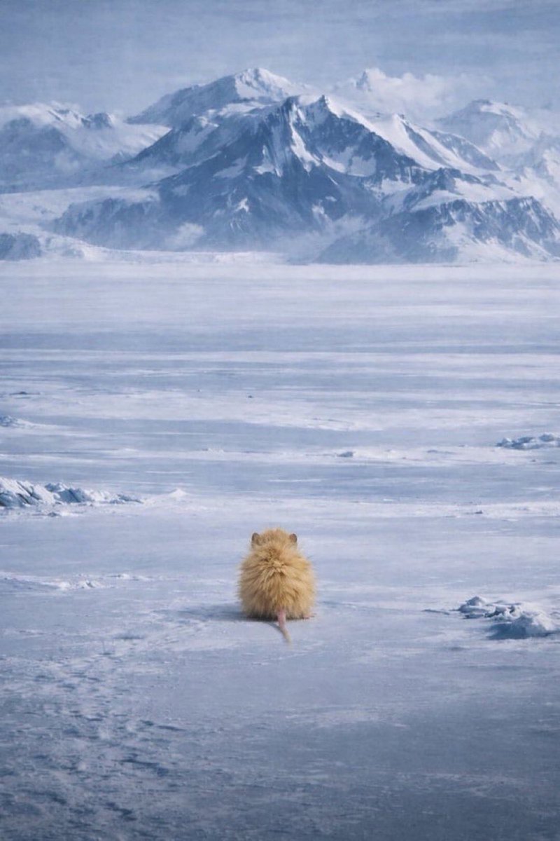 Solana Sam tweet media