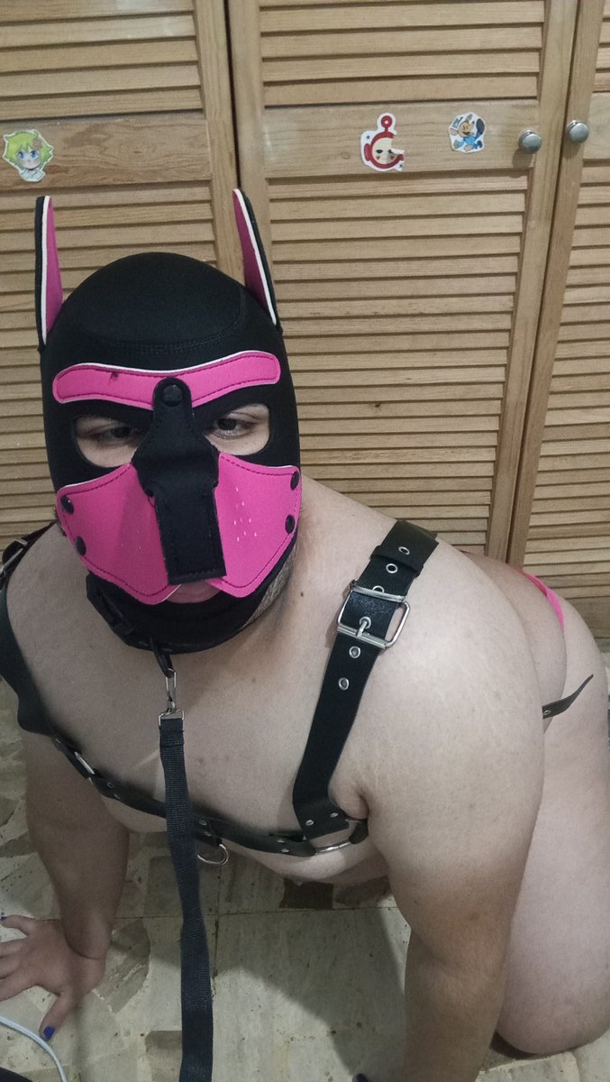 Pup_Adocpop tweet media