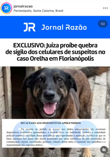 Thais Maschio 🇧🇷 tweet media