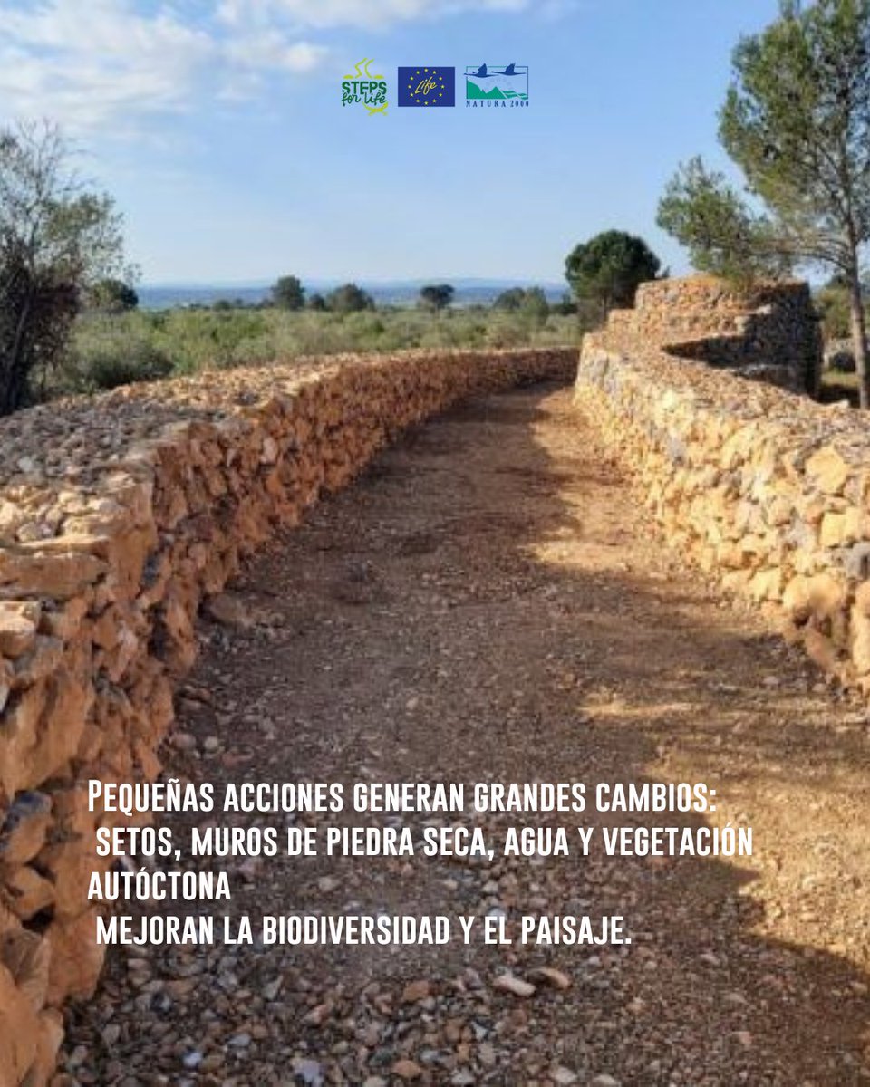 Steps for LIFE tweet media