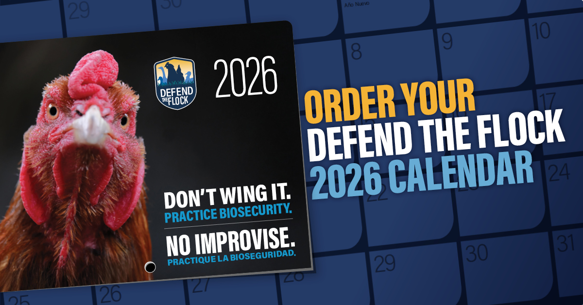 Defend the Flock tweet media