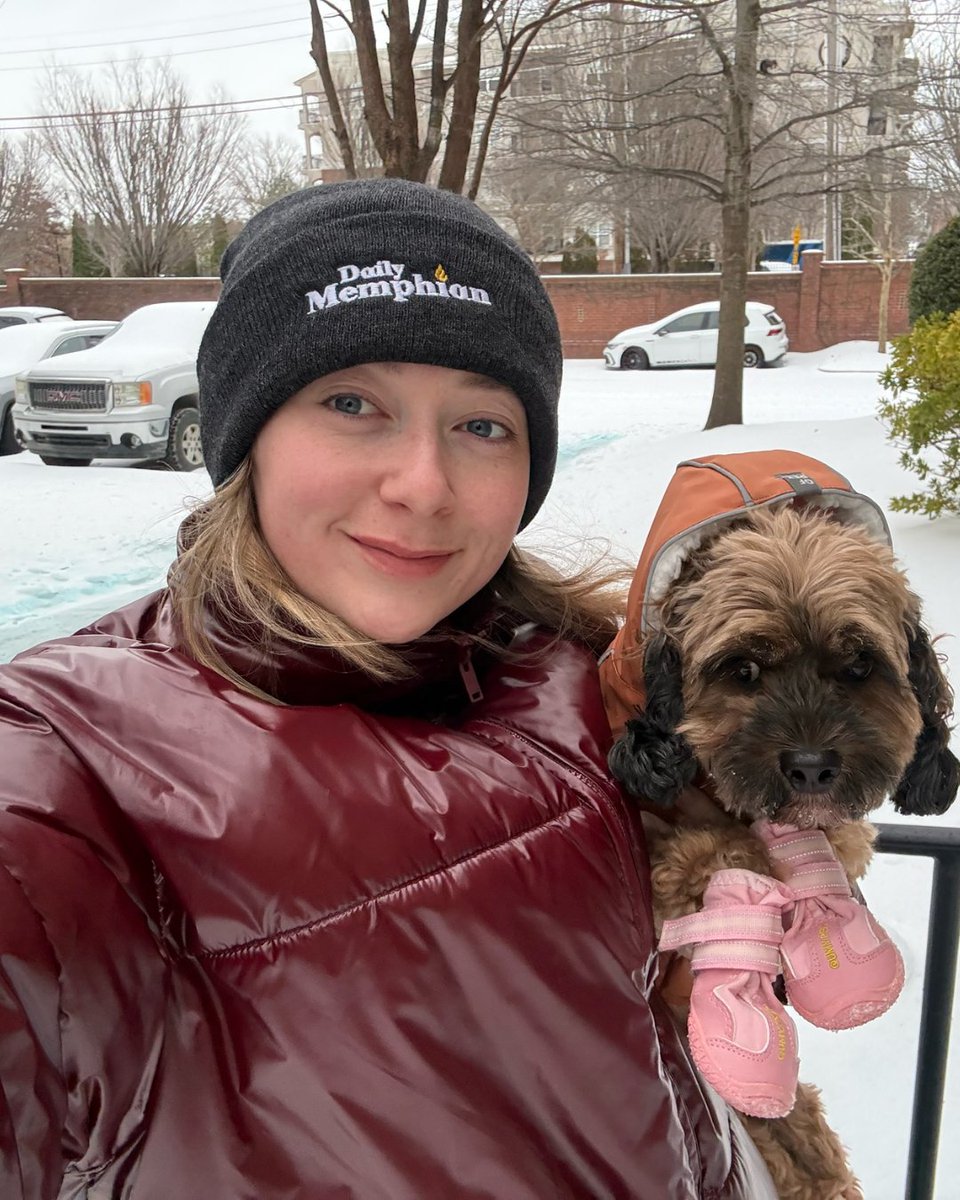The Daily Memphian tweet media