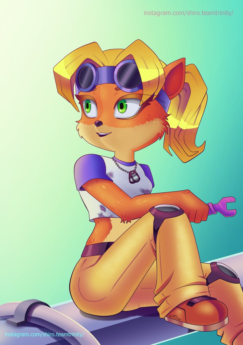 Shiro Team tweet media