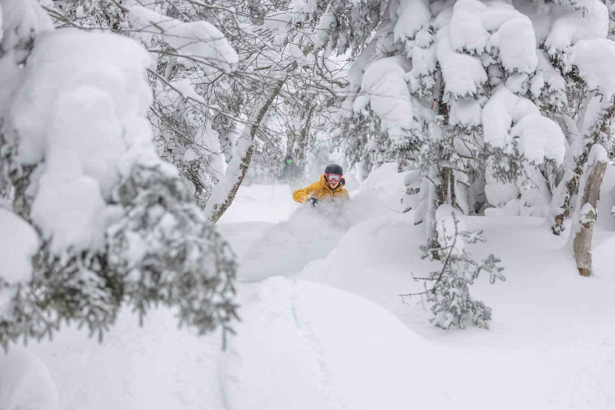 Jay Peak Resort tweet media