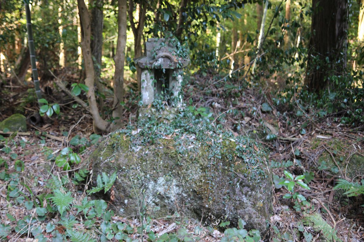 雲仙市国見町 岩下神社
　百花台公園よこの国道389号線を上った所にある小さな神社

おはようございます
予報では風もあり寒い一日になりそうですね