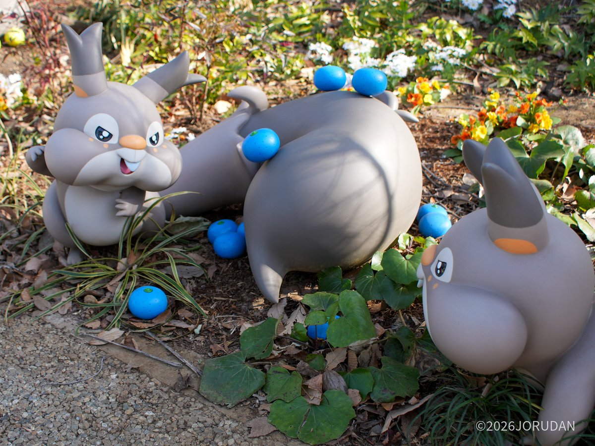 乗換案内が行く ここに3匹のポケモンがいるじゃろ？ ＼ セッコク博士