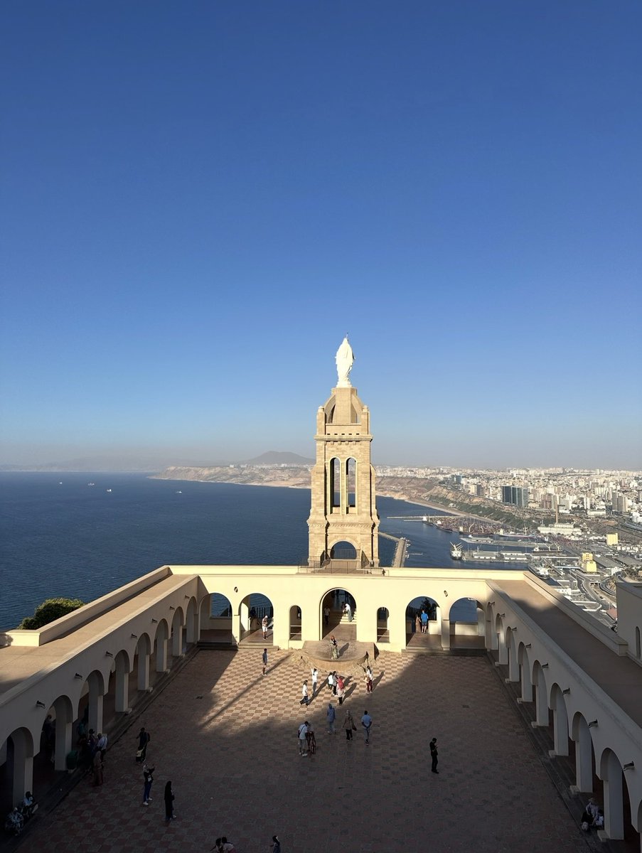 BOSS WALID (1k)🇩🇿💸 tweet media