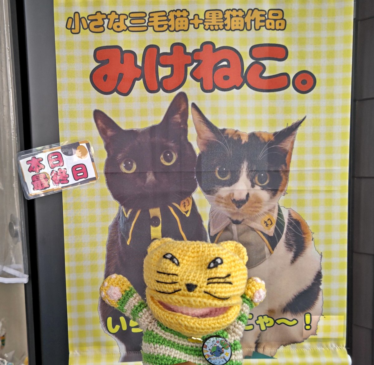 みけねこ。 (@mike_myi) / Posts / X