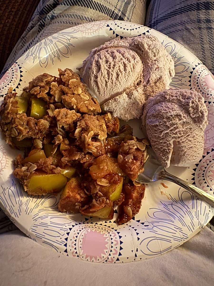 Mrs Mountain Man just delivered a plate of homemade apple crisp to me in the living room. I think she likes me 😊