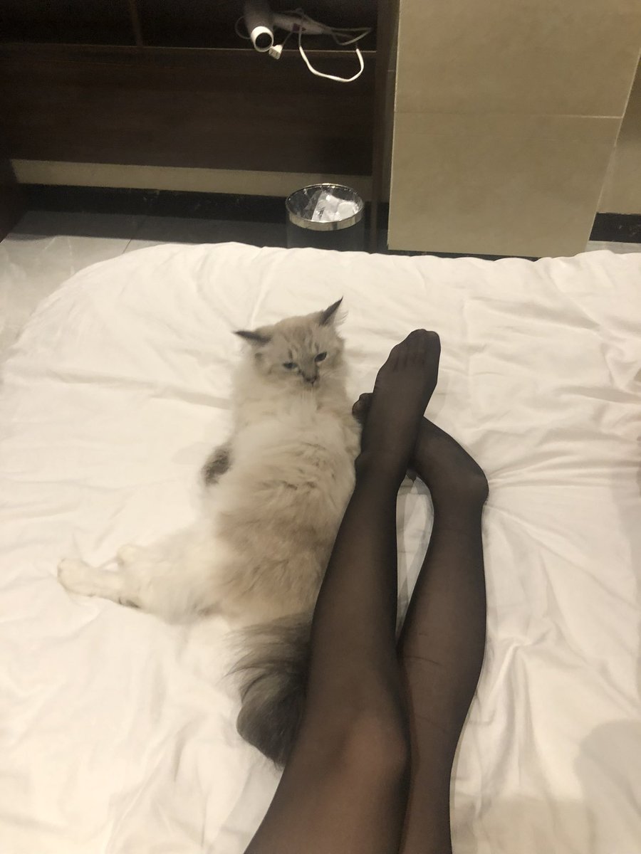 反差萝莉收养高壮180肌肉男 tweet media