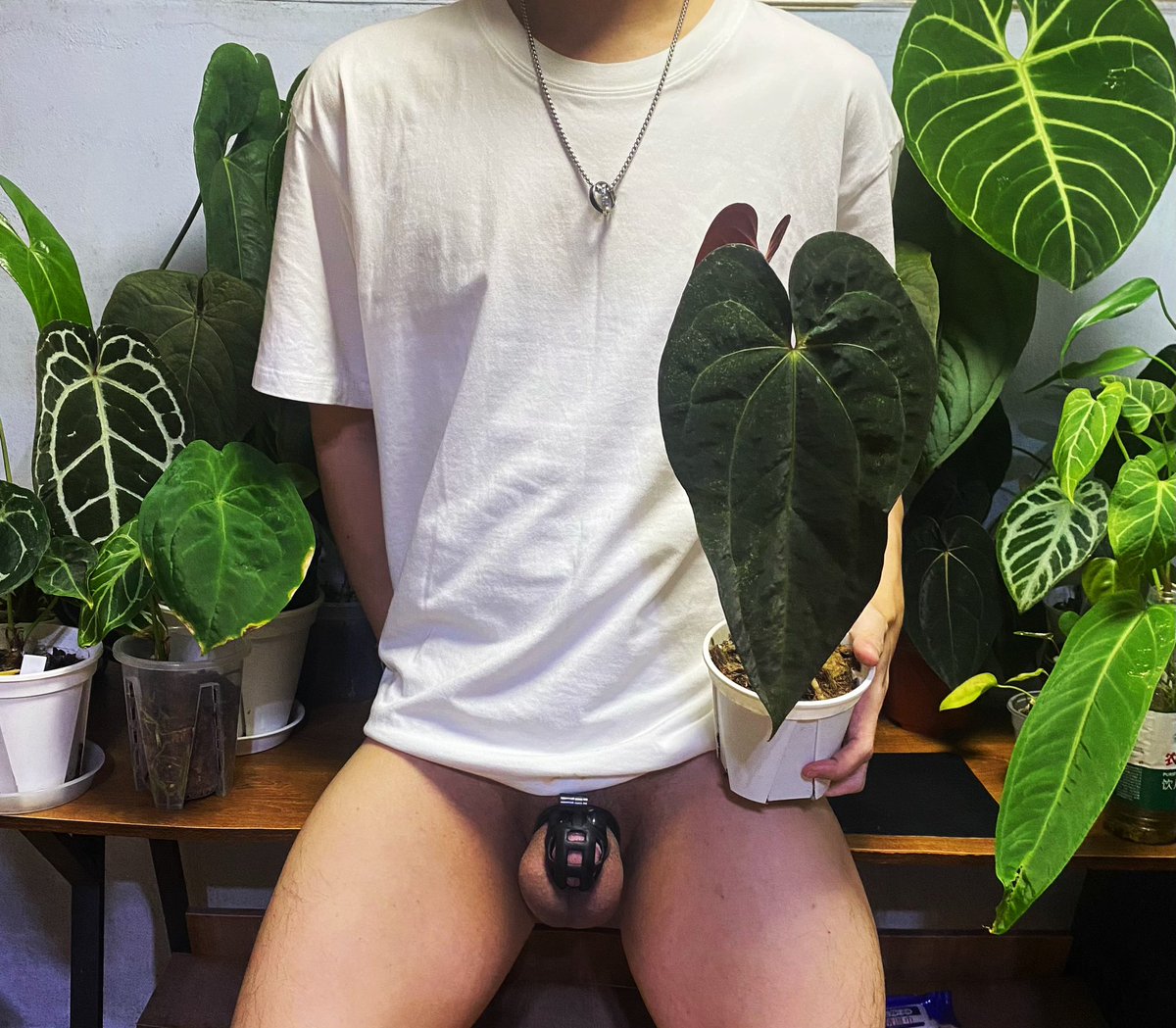 超人不会飞 tweet media