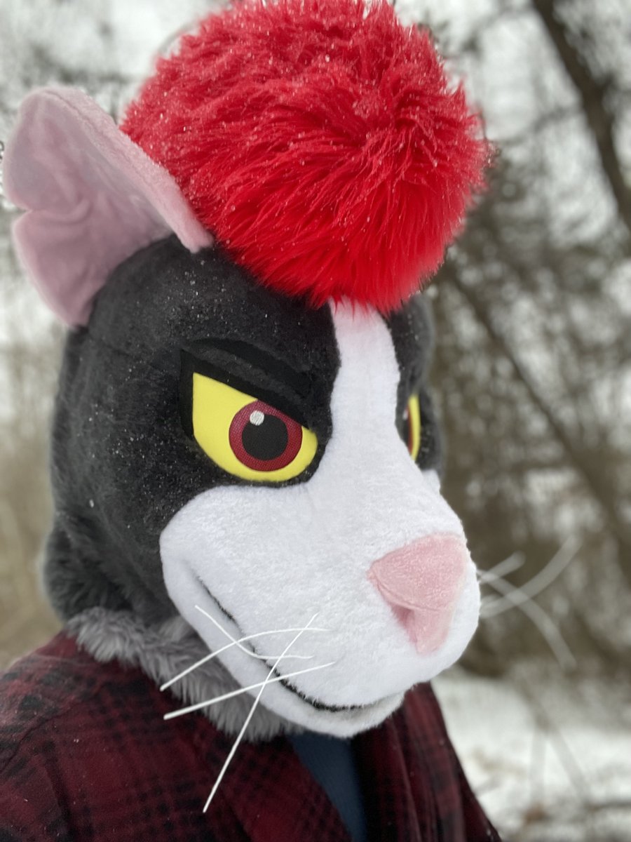 Suede🔜BWS tweet media