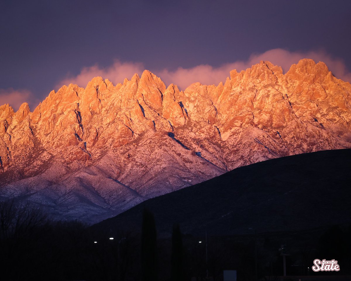 David Bellamy tweet media