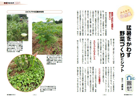 #現代農業 誌上 #タネ交換会 2026　速報📢

今日届いたタネから、ピックアップ🥢

「エビスグサ」
2月号に、猛暑対策としてエビスグサを植えることのメリットが紹介されています💡
「背が高くなり、日陰をつくってくれる一年草」「マメ科のエビスグサは生長が早く、土も肥やし、タネは薬草茶に」…☕️