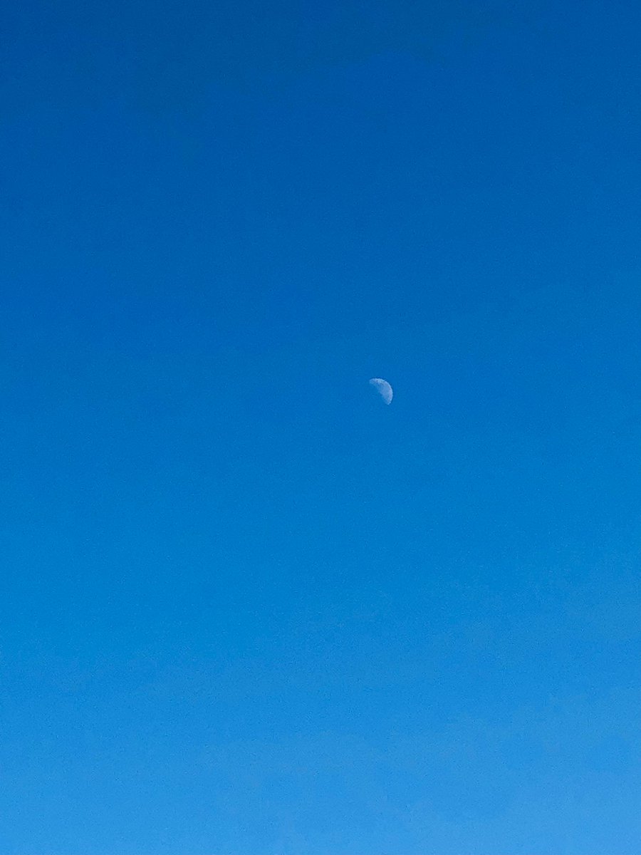 今夜はウクレレチューズデイ！

初心者におすすめのとてもゆるいグループレッスンクラスです^ ^

19:05〜20:35
来た時だけの２５００yen☺︎

ぜひご参加ください^ ^