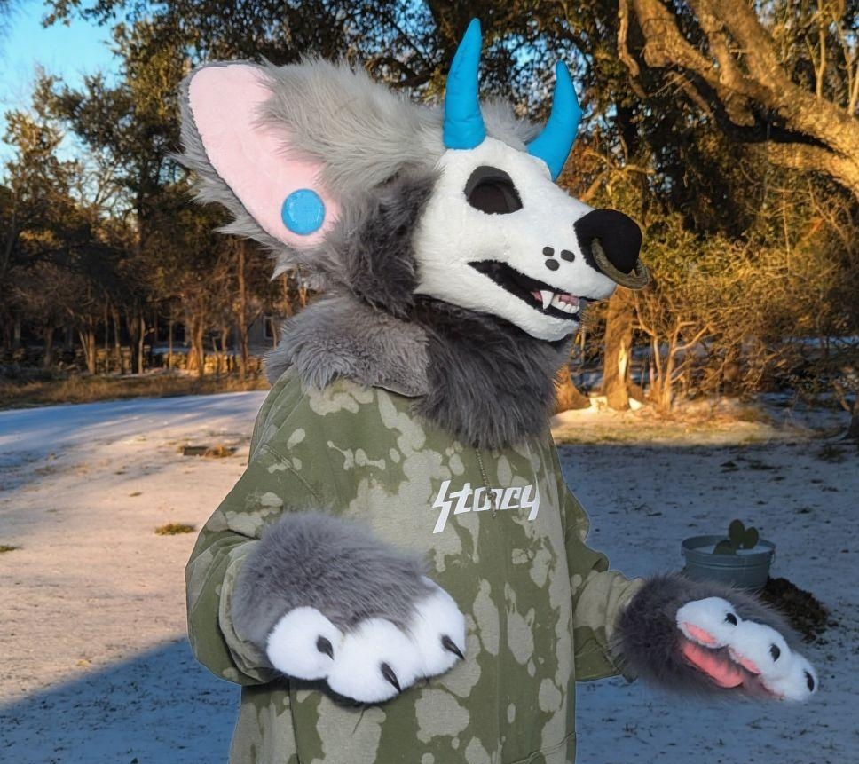 ✩˚Lynk˚✩ 🔜TFF tweet media