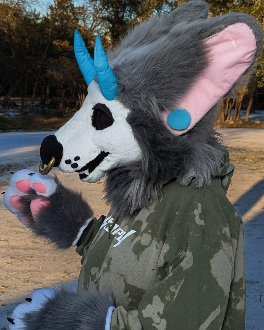 ✩˚Lynk˚✩ 🔜TFF tweet media