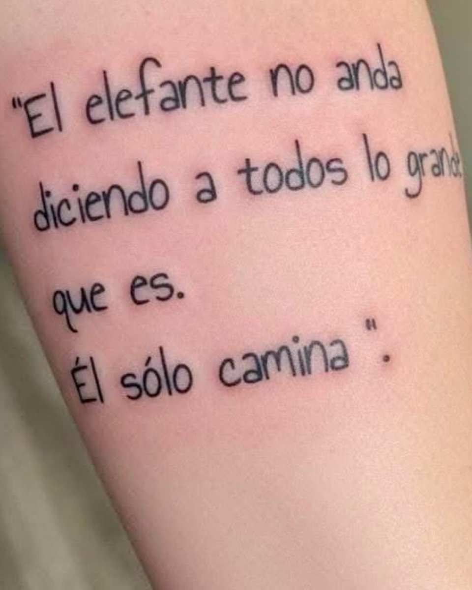 Rincón Curioso (@rincncuriosoo) on Twitter photo 