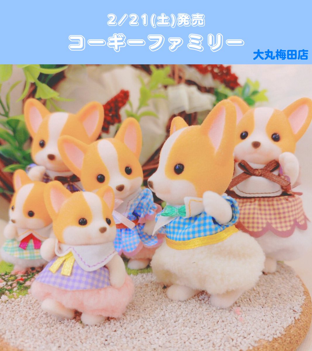 2/21(土)発売『コーギーファミリー』🐾 モコモコの明るいカラーのお