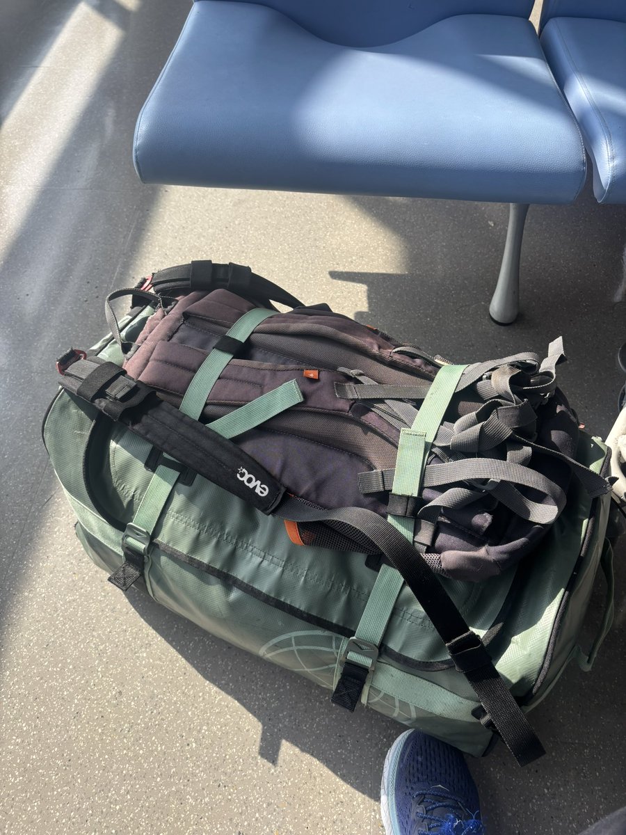 Gosse van der Meer tweet media