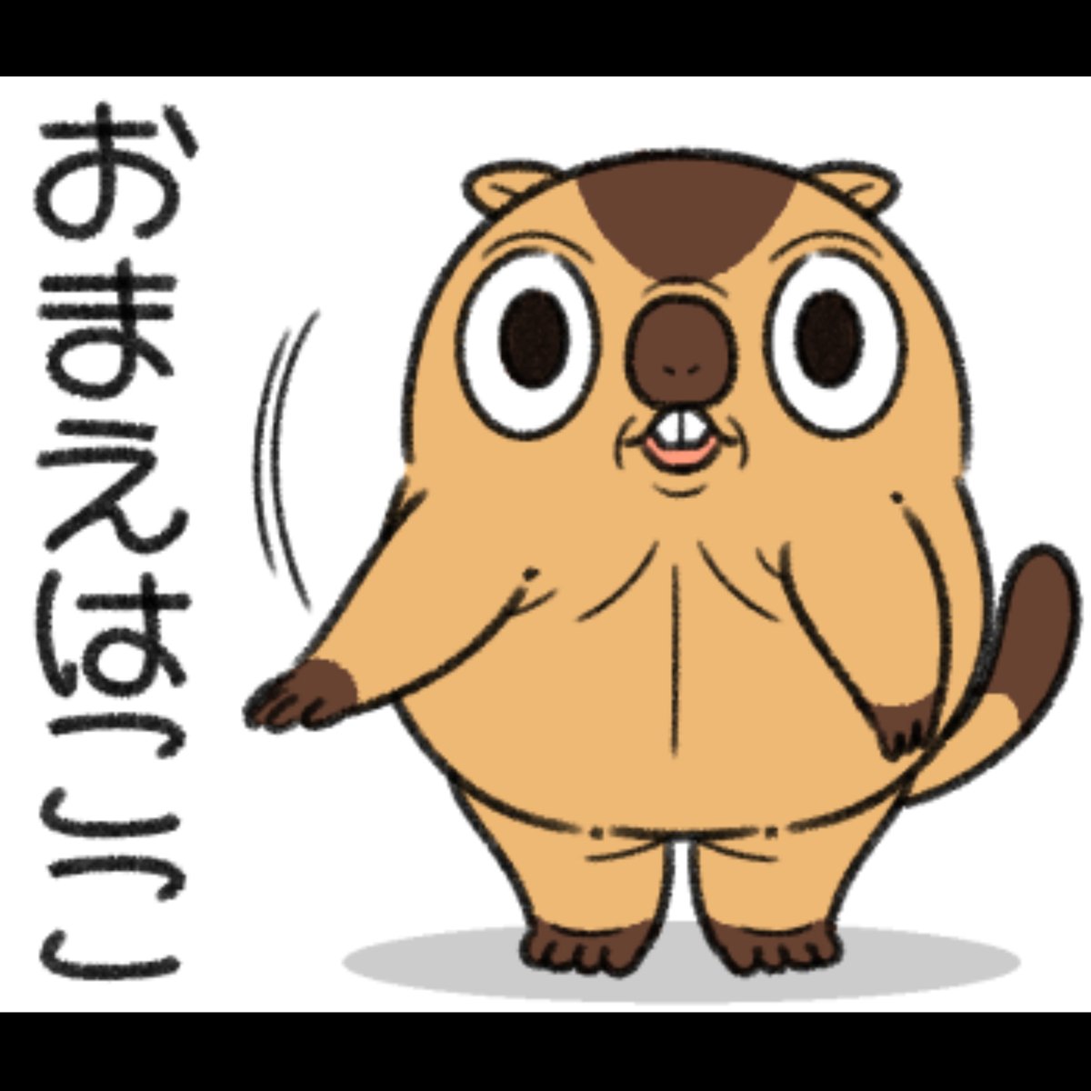 わからされたマーモット。 