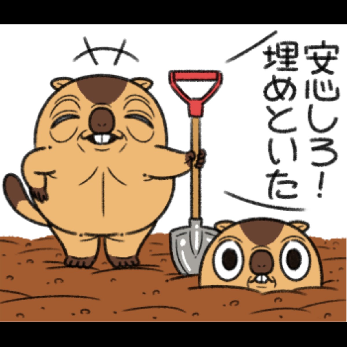 わからされたマーモット。 
