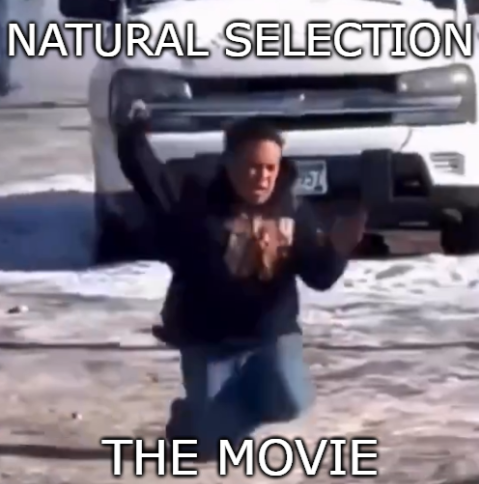 OUT NOW! #NaturalSelection
