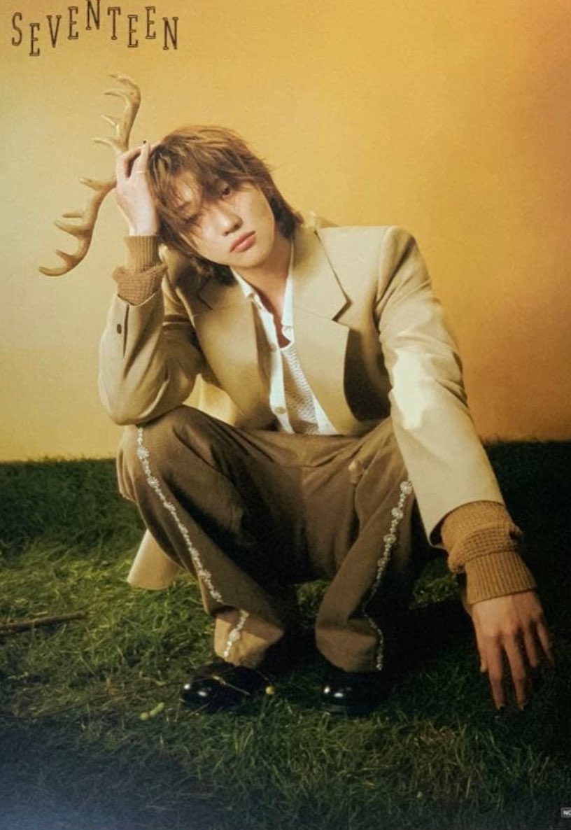 seventeen セブチ シーグリ特典 交換 譲 ドギョム スングァン バーノン