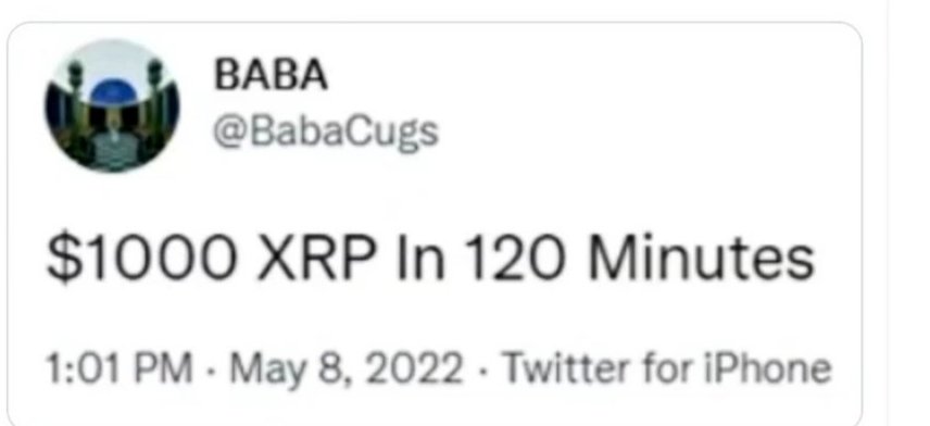 hitallocs's tweet image. #BabaCugs 
5/8 - 128 Doy 1/28