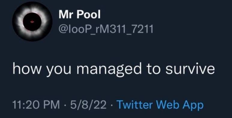 hitallocs's tweet image. #BabaCugs 
5/8 - 128 Doy 1/28