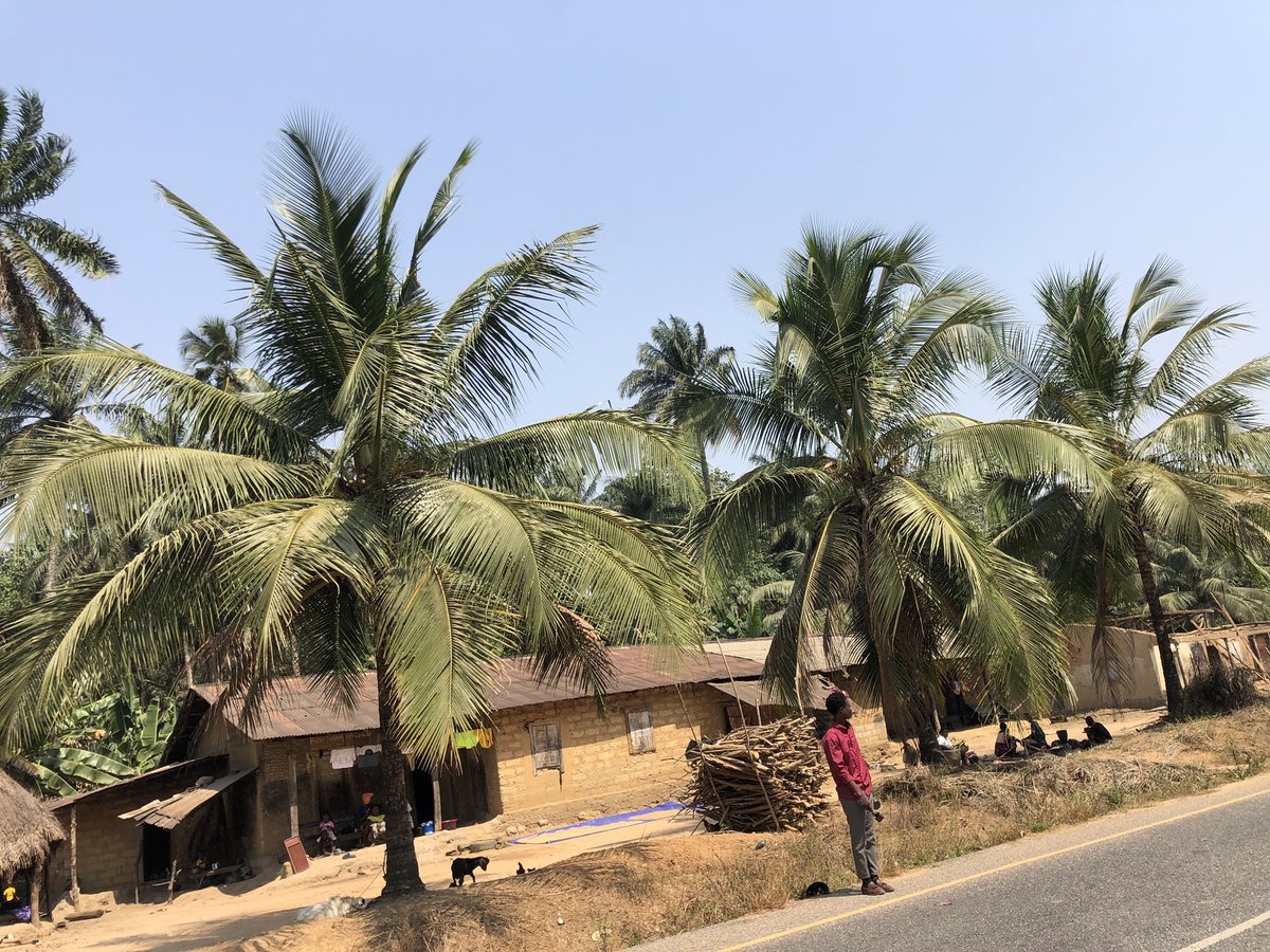 ChernorMomoh01's tweet image. We visit a village in the North where women are not allowed to uncover 🧕their heads! 😳😯  #fypシ  #explorer #CMK