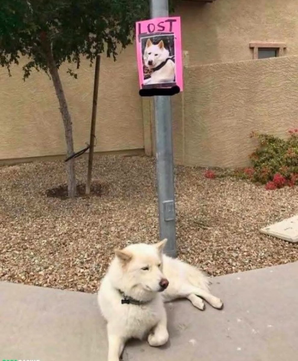 구모리 tweet media