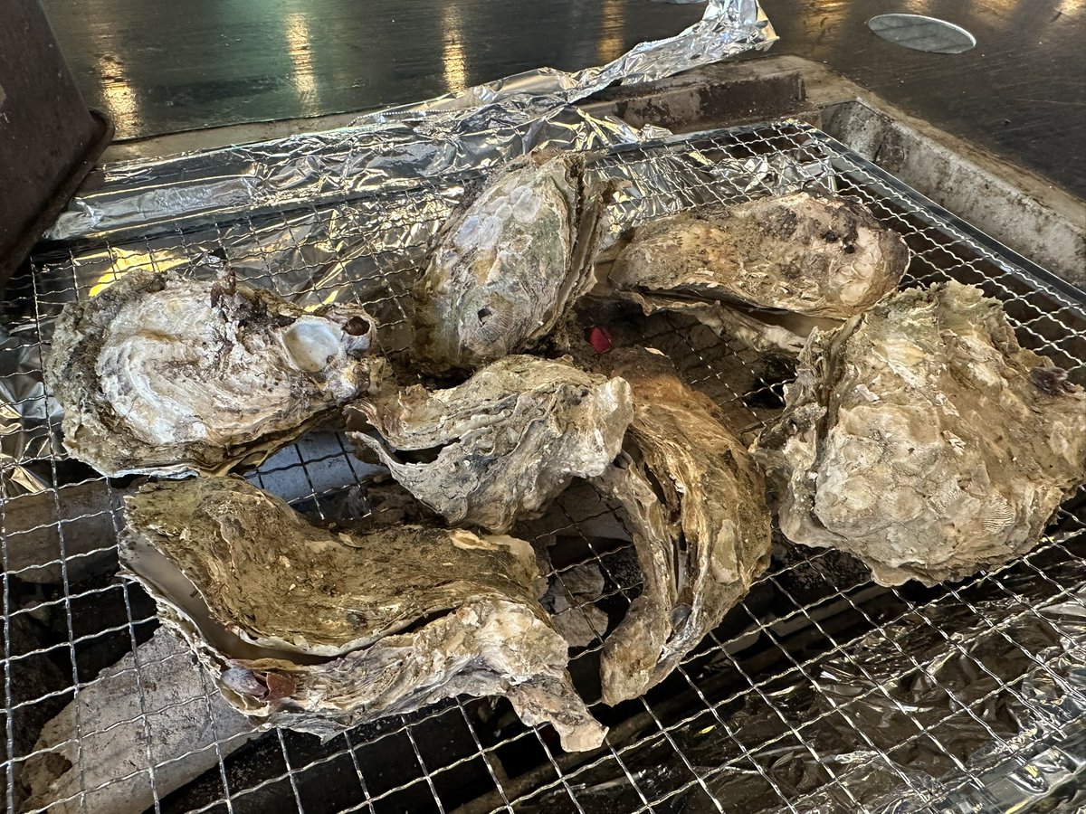 せりページ Amazon.co.jp: 自分が主人公の官能小説を見つけたら、現実が変わり始め