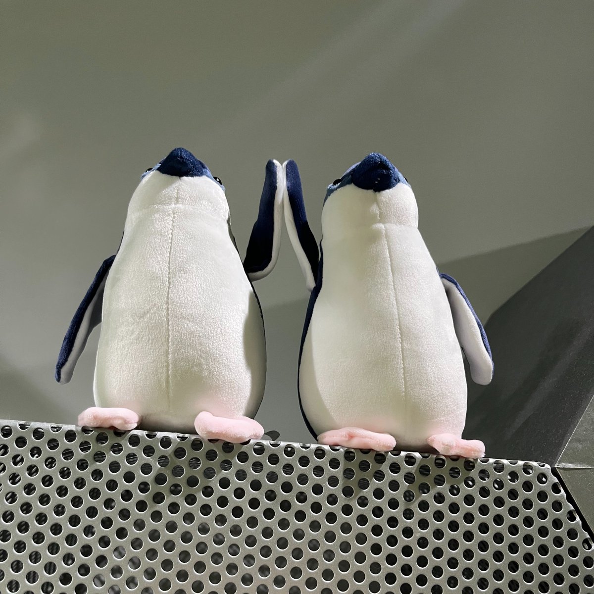 aoao様用•*¨*•.¸♬︎ aoao様確認用