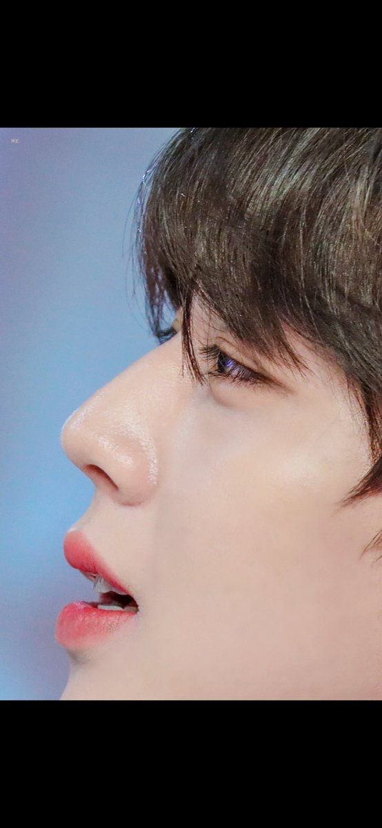 야 이거 진짜 야르 아니냐