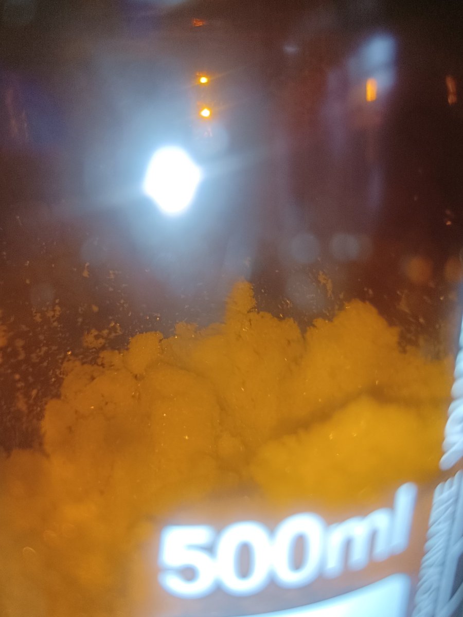 鼠尾草～🌿（中推OD党版） tweet media