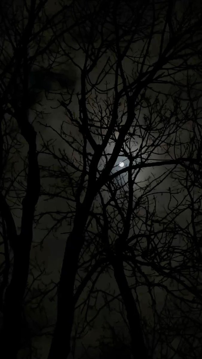 Ȓ̶̳y̵̨̎ tweet media