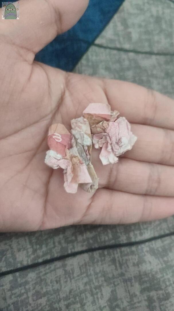 Tanyarlfes tweet media