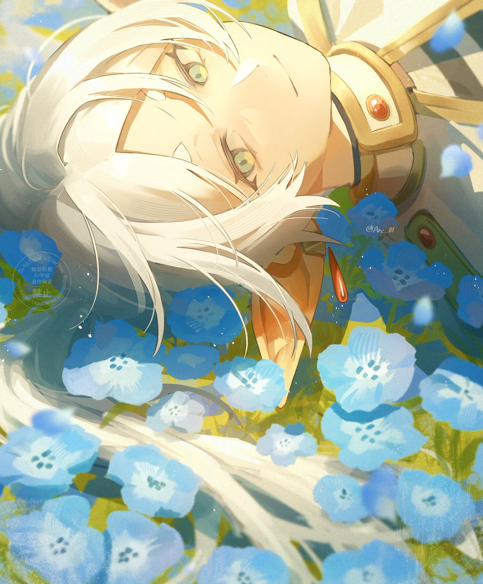 いつか君に見せてあげたい
#frieren  #Himmel