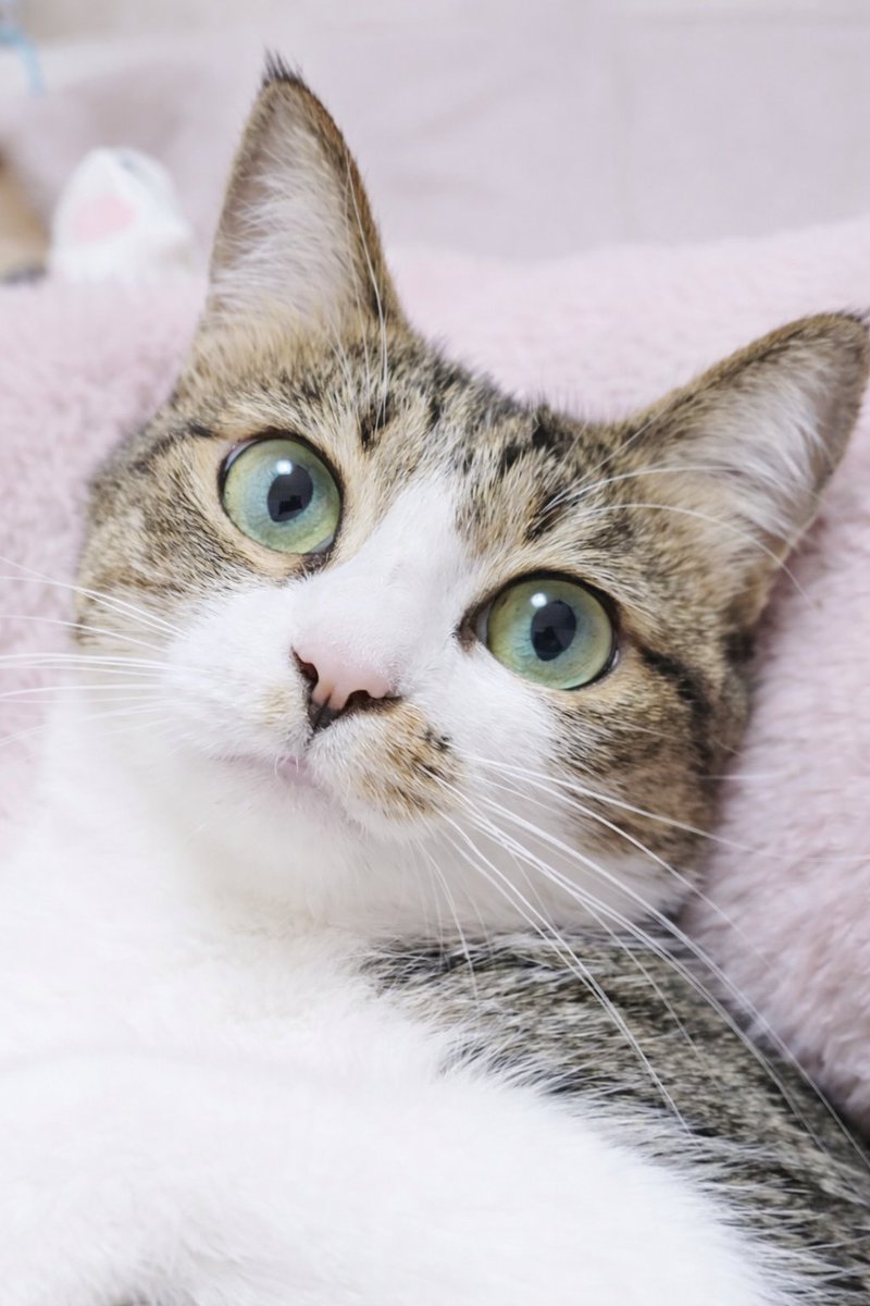 まりもちゃん！と🧌 (@marimo2021915) / Posts / X