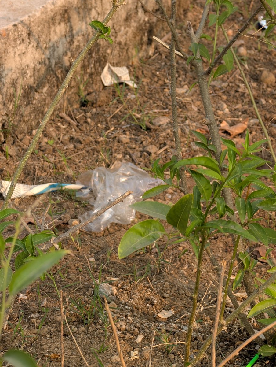 adpande's tweet photo. @ngpnmc please take note. Newly opened Sonegaon Lake garden is slowly filling up with garbage. People have no civic sense and throwing garbage and spitting everywhere. https://t.co/EZlSdp8c7a