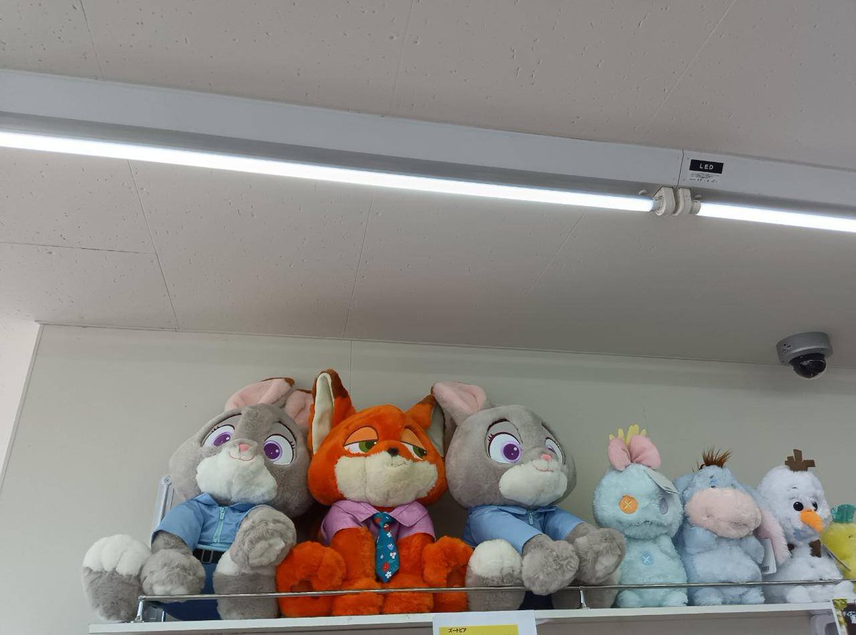 YAMACOS_SHONAN's tweet photo. 【新商品情報】
ブランケット入のズートピアぬいぐるみ入荷しました🧸❣️
ニックとジュディの大きくて可愛いぬいぐるみです☺️🥕

やまコス獺郷店で販売中！
ぜひお迎えに来てあげてくださいね✨

#やまコス #神奈川 #新入荷 https://t.co/r9Pc7J5Uqx