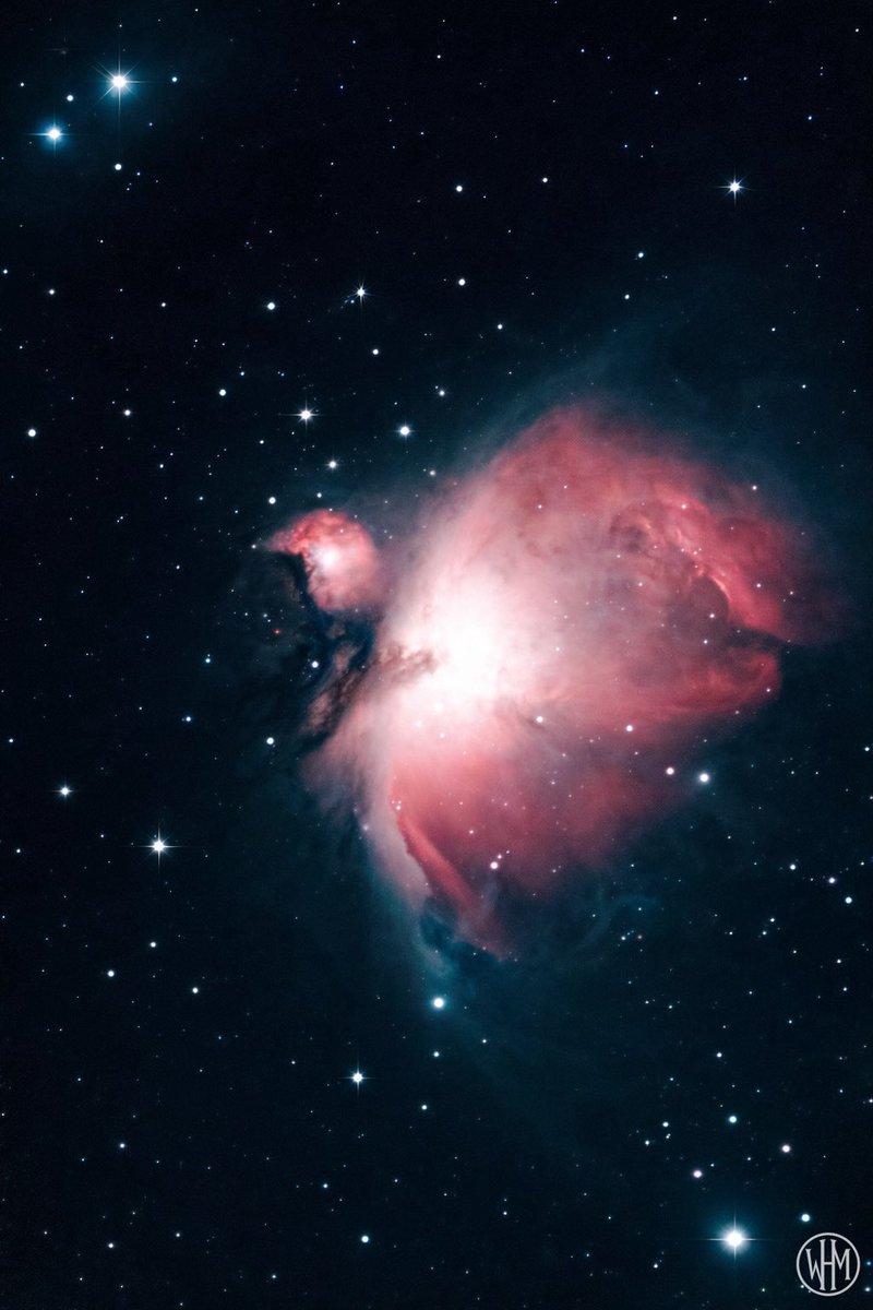M42 (Orion Nebula)
1,344 light-years away
472 x 10s
Seestar S50
Bortle 8
Alt-Az
41°N, 88°W
Captured 01/22/26