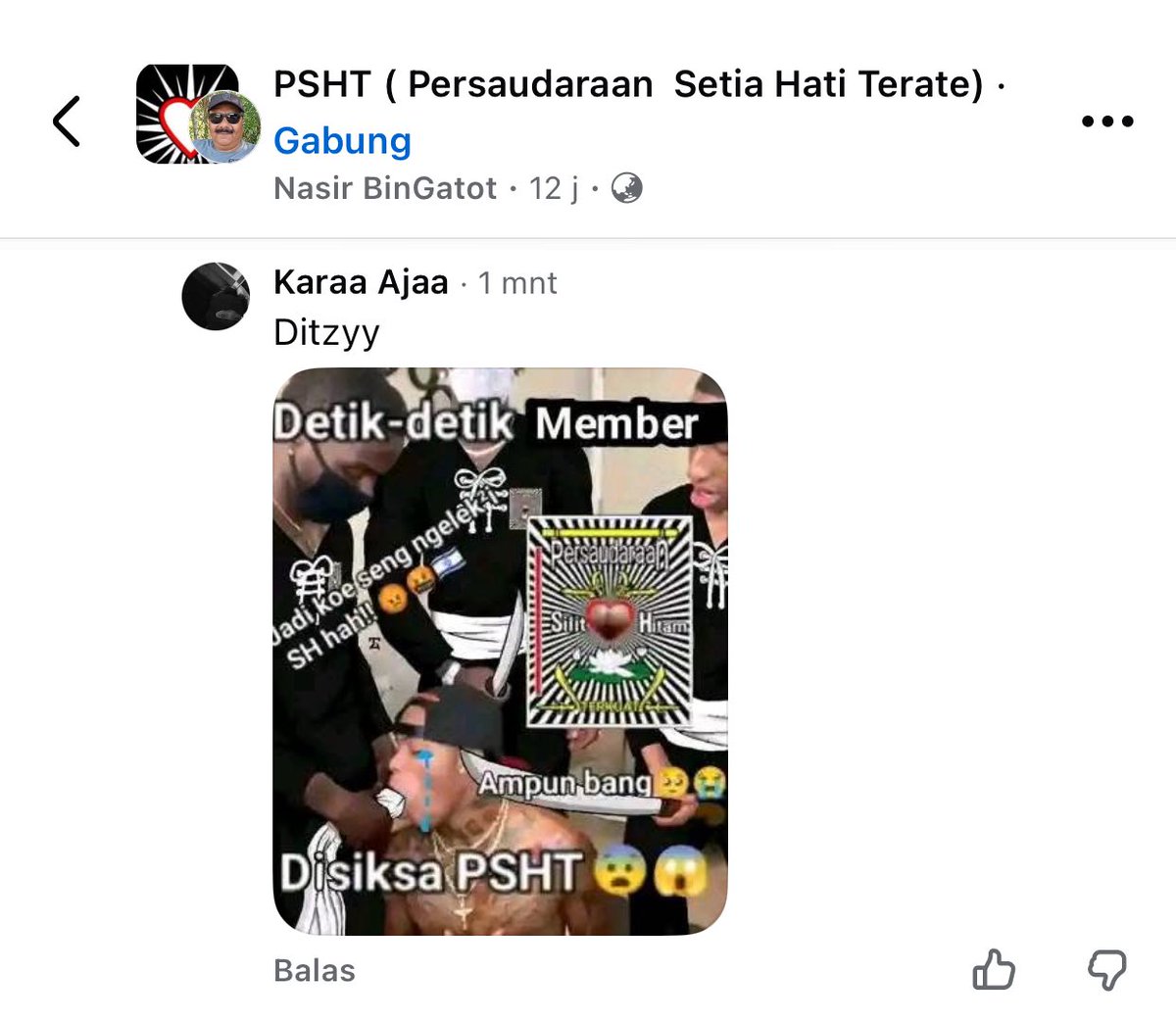 myshawti's tweet image. 