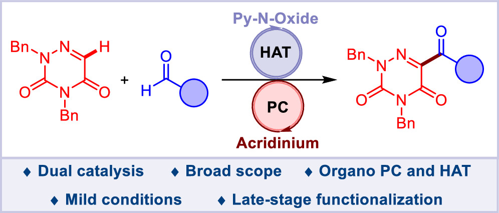 Parthasarathy Gandeepan (காண்டீபன்) tweet media