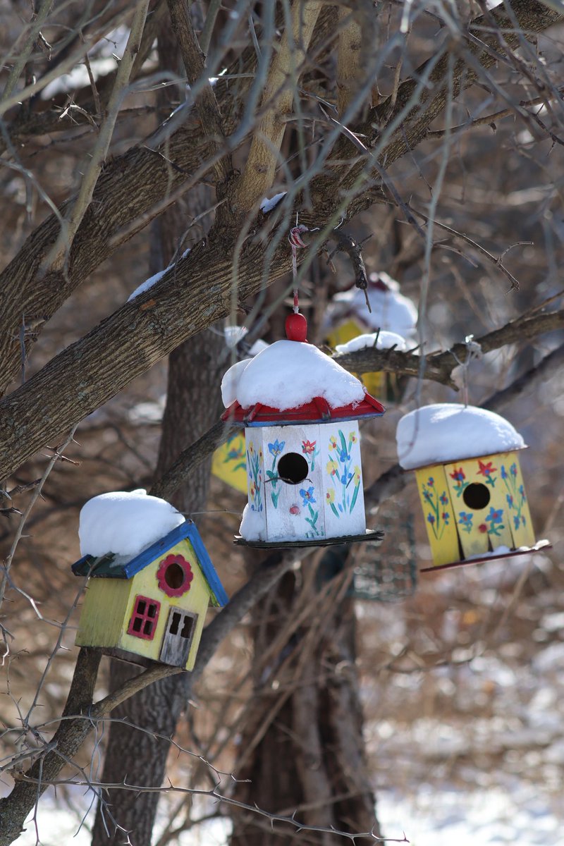 Stephen Morgan tweet media