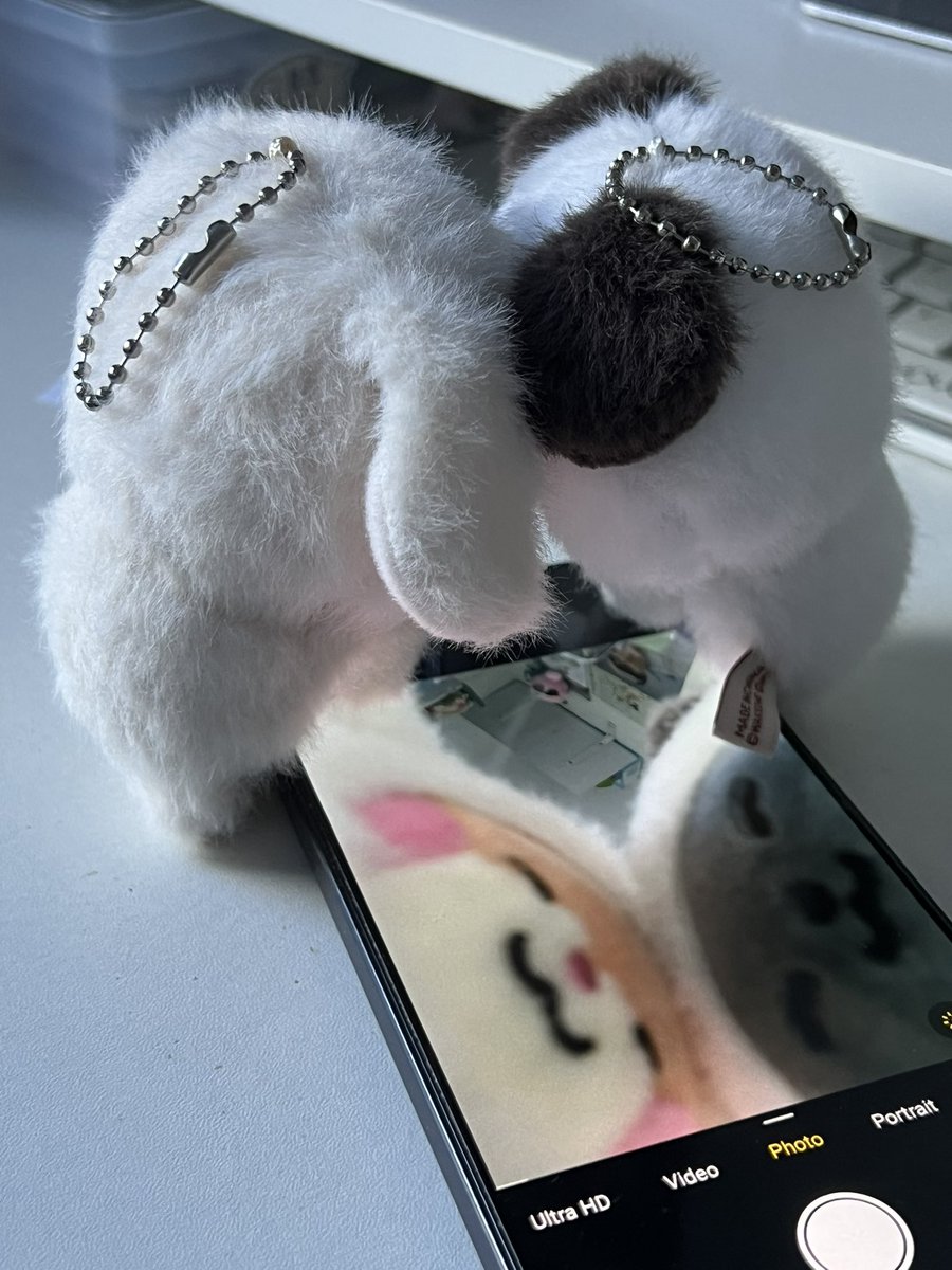 naurr its even cuter with the fluffy zeroni